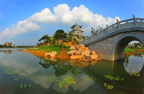 宁阳县人民政府 媒体看宁阳 青山绿水｜让绿色成为宁阳大地最美的底色