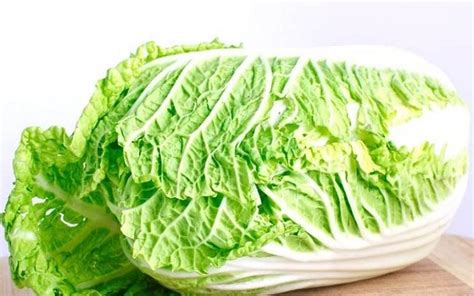 夏邑种植白菜最大白菜基地 - 白菜价格网