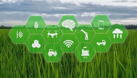 如何实现数字化农业：3个趋势＋4个要点-南京及时雨农业科技有限公司
