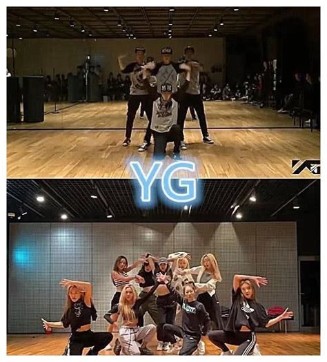 YG公司时隔7年推出的新人女团Black Pink-新闻资讯-高贝娱乐