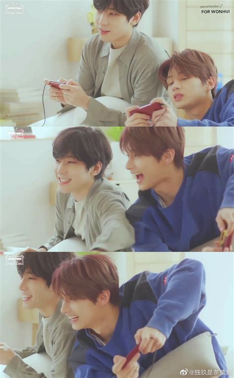 SEVENTEEN佑灰图片