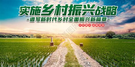 邮储银行：深耕“三农”金融服务 助力农业供给侧结构性改革-金华频道