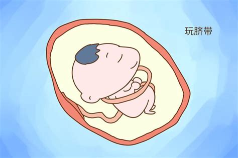 胎儿每天在妈妈肚子里干嘛? 告诉你, 超忙的!|宝宝|肚子|怀孕_新浪新闻