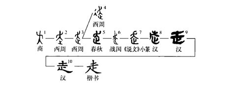 汉字的演变过程PPT模板下载_编号lpxrenpm_熊猫办公