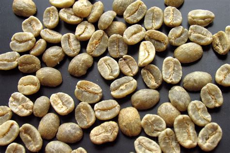 什么是阿拉比卡咖啡？阿拉比卡咖啡豆的特点及风味特征的解析 中国咖啡网