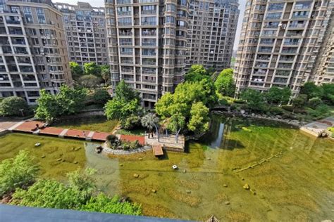 当代清水园，芳甸路77弄 - 上海当代清水园二手房、租房、房价-上海安居客