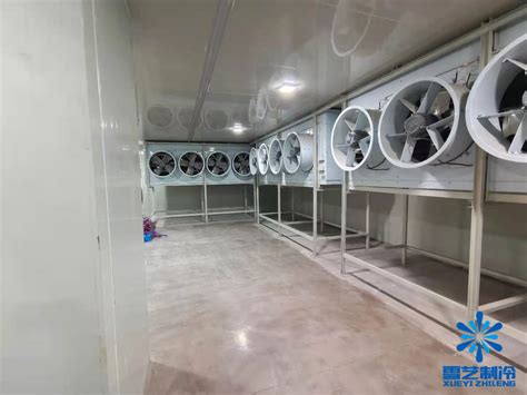 冻干设备-白银景泰县冷库安装节能设计-速风制冷