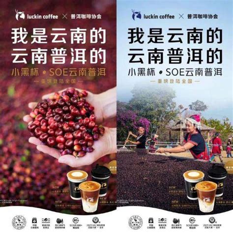 云南普洱咖啡破圈战——技术创新助力产业振兴_中华网
