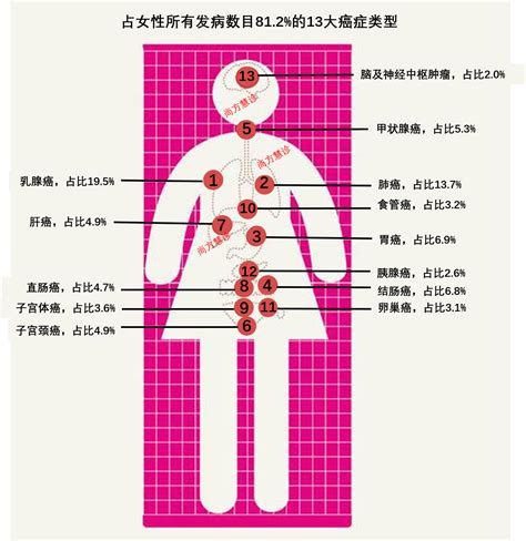 中国十大高发癌症排名 恶性肿瘤发病率排名_查查吧