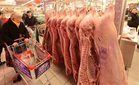 11月18日仔猪价格：能繁母猪单月下降2.5%！仔猪市场将枯木逢春？农业资讯-农信网