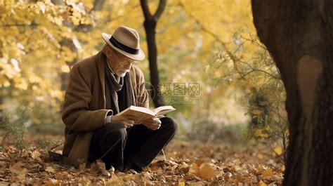 一位老人在公园看书高清图片下载-正版图片600002563-摄图网