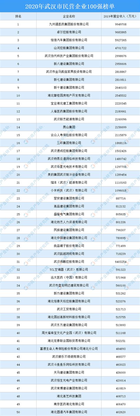 2020武汉民营企业100强排行榜-排行榜-中商情报网