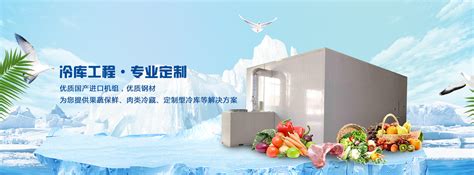 冷库-500吨蔬菜恒温保鲜冷库造价预算-上海雪艺制冷科技发展有限公司