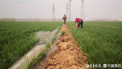 严控农业用水总量！济南市将推广精准高效灌溉技术_节水_改造_灌区
