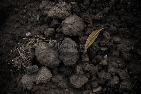 泥土上的黑色和高清图片下载-正版图片507135896-摄图网