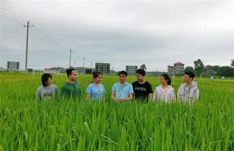 上高水稻科技小院获评中国农技协“十佳科技小院”