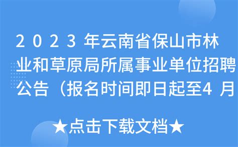 2023年2月云南保山第一中学公开招聘教师公告（12人）_招教网