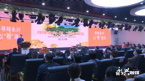 寻味永兴·以“橙”湘见——2021湖南省永兴县农产品推介会在长沙举办_永兴新闻网