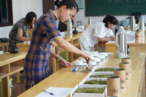 宣州：茶叶技术人员入茶乡，科技服务茶农助生产-宣城市农业农村局