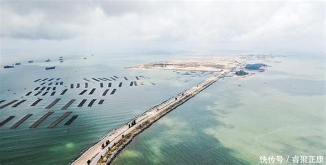 西部陆海新通道建设提速 钦州港口岸进出口额猛增中国港口官网