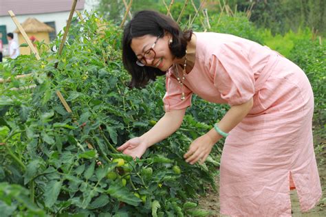 南桥镇江海村的菜园子直通大食堂：让村民乐起来 企业笑起来 村级经济鼓起来