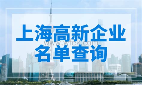 2024年上海市高新技术成果转化认定项目_上海市企业服务云