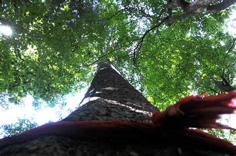 冰天雪地矿泉水漂流，吉林长白山露水河国际狩猎场，超棒的体验_森林