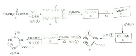 化学方程式_初中化学_在线数理化公式查询