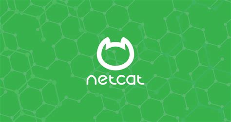 Netcat (nc) 命令详解及示例 | linux资讯