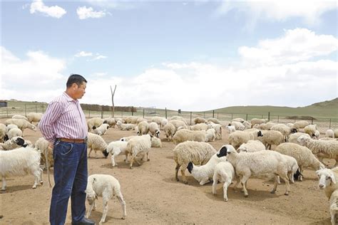 内蒙古日报数字报-图门达来：“坐在家中看监控放羊，以前想也不敢想”
