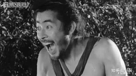 罗生门：真相迷雾中的命运交织
