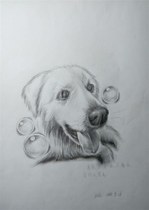 简单的画画图片
