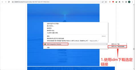 idm嗅探插件是什么 资源嗅探器插件怎么用-IDM中文网站