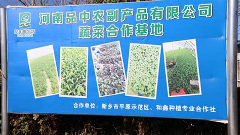华亭镇发挥“党支部+合作社”模式迅速行动保障蔬菜供应
