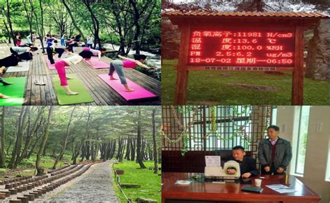 广西大容山国家森林公园 - 曼格夫旅游盈利机构丨让中国旅游投资者不再迷茫丨旅游规划·策划·建设·运营