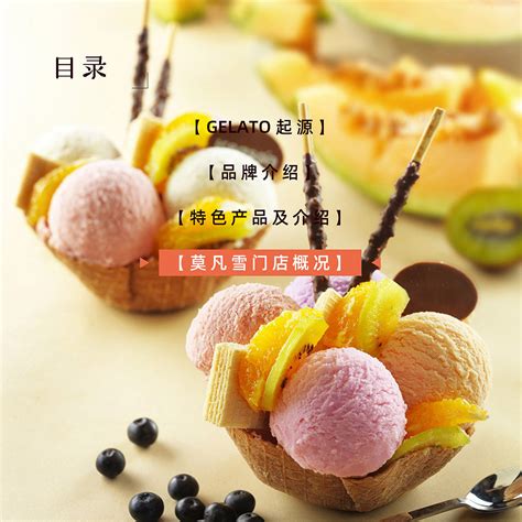 莫凡雪 冰淇淋品牌介绍手册 产品手册_高泉翔-站酷ZCOOL
