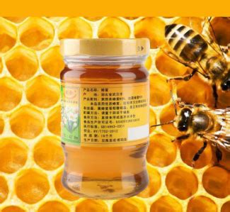 简约健康养生蜂蜜宣传海报设计PSD_红动网