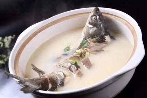 鲫鱼汤图片