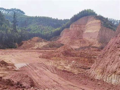 在大熊猫国家公园偷挖石料 严重毁坏林地植被 第04版:重案 20221124期 四川法治报
