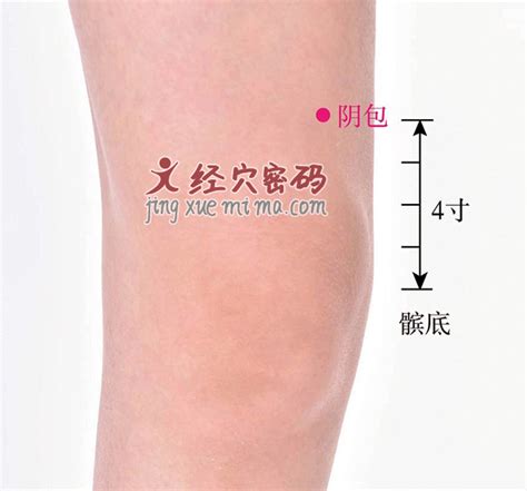 大包的准确位置图图片