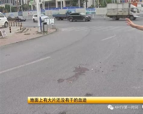 深圳一男子骑电动自行车撞汽车被判全责不服 结果……_深圳新闻网