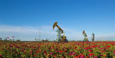 大庆油田有限责任公司 - 2023工业绿色发展大会