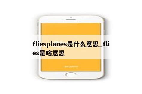 fliesplanes是什么意思_flies是啥意思 - messenger相关 - APPid共享网