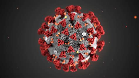 美国最新研究称新冠肺炎病毒造成感染的能力可达“严重急性呼吸道症候群”SARS的20倍 - 神秘的地球 科学|自然|地理|探索