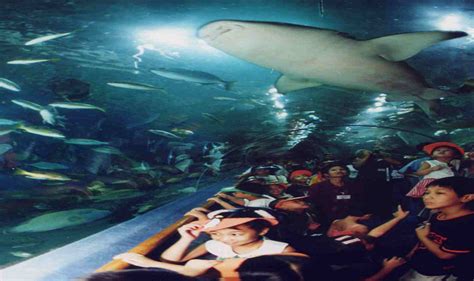 厦门海底世界游玩攻略 厦门海底世界怎么样-旅游官网