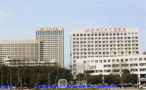 武汉植发三甲医院排名：公立医院哪家好?（附植发价格表）-发友网