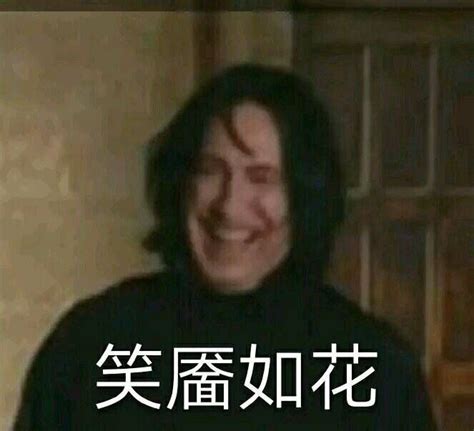 哈利&#183;波特表情包图片