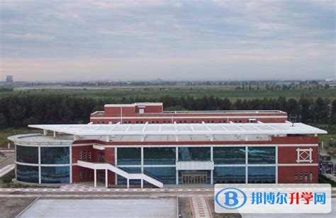 哈尔滨第三中学校国际部2021年招生办联系电话
