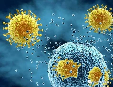 新型冠状病毒传染来源是什么 关于新型冠状病毒的几大谣言 _八宝网