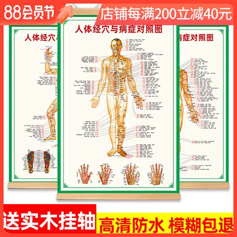 全身穴位图高清图片